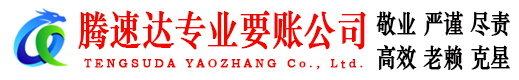 阳谷腾速达清债公司